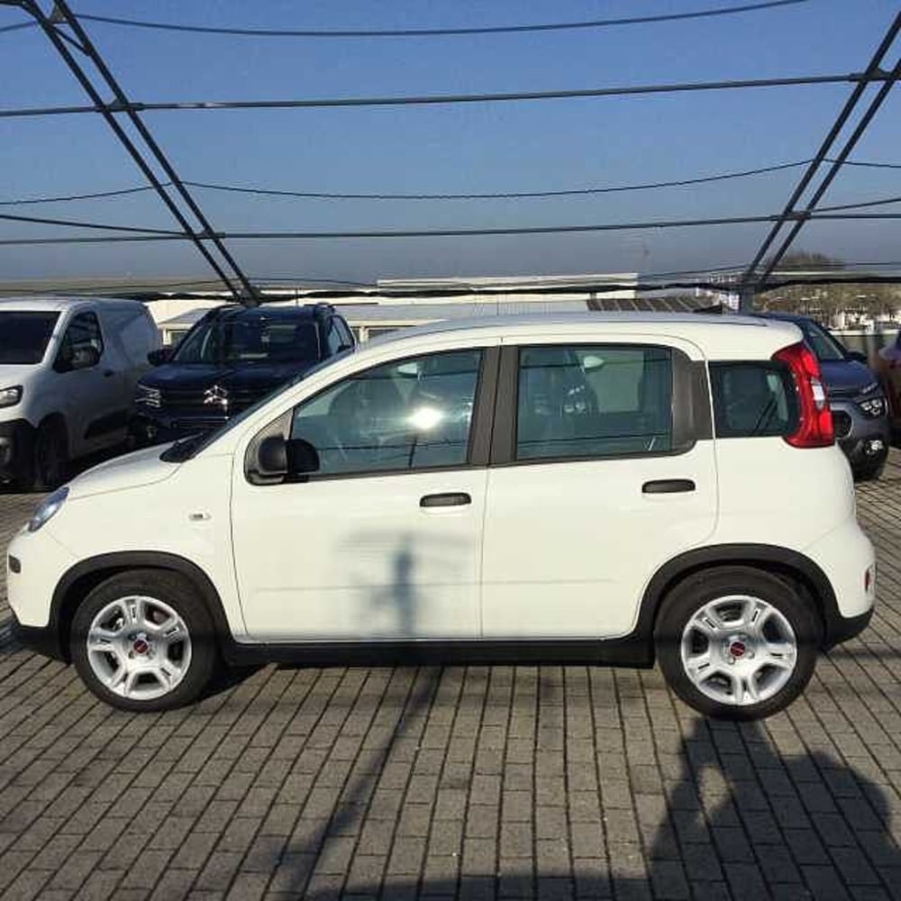 Fiat Panda usata a Ravenna (8)