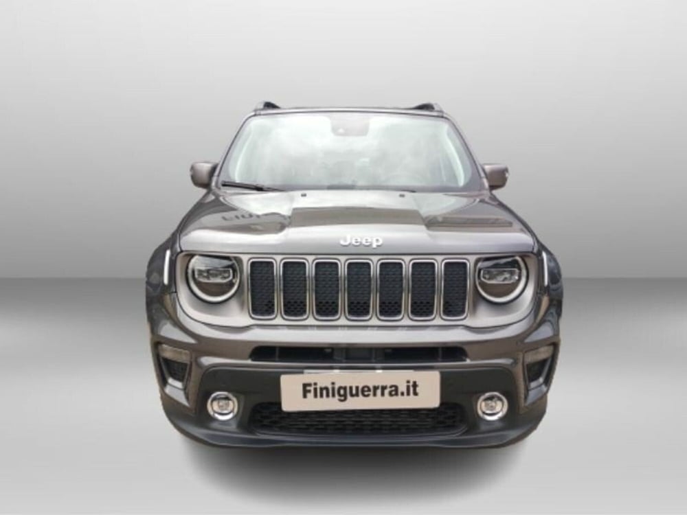 Jeep Renegade usata a Sondrio (2)