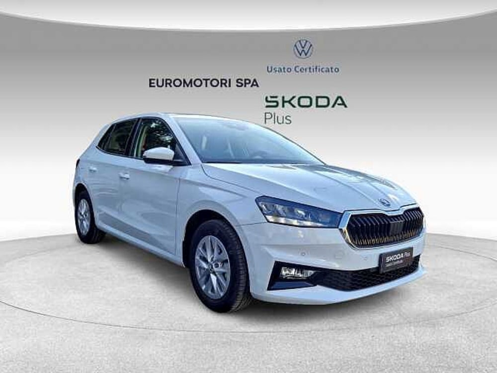 Skoda Fabia usata a Siena (6)