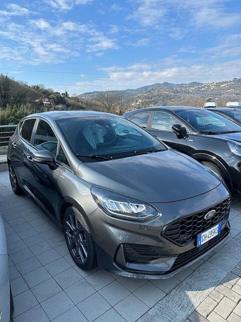 Ford Fiesta usata a La Spezia