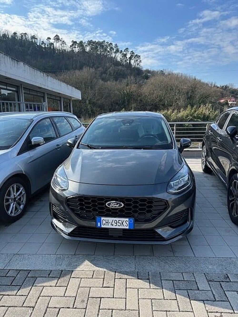 Ford Fiesta usata a La Spezia (2)