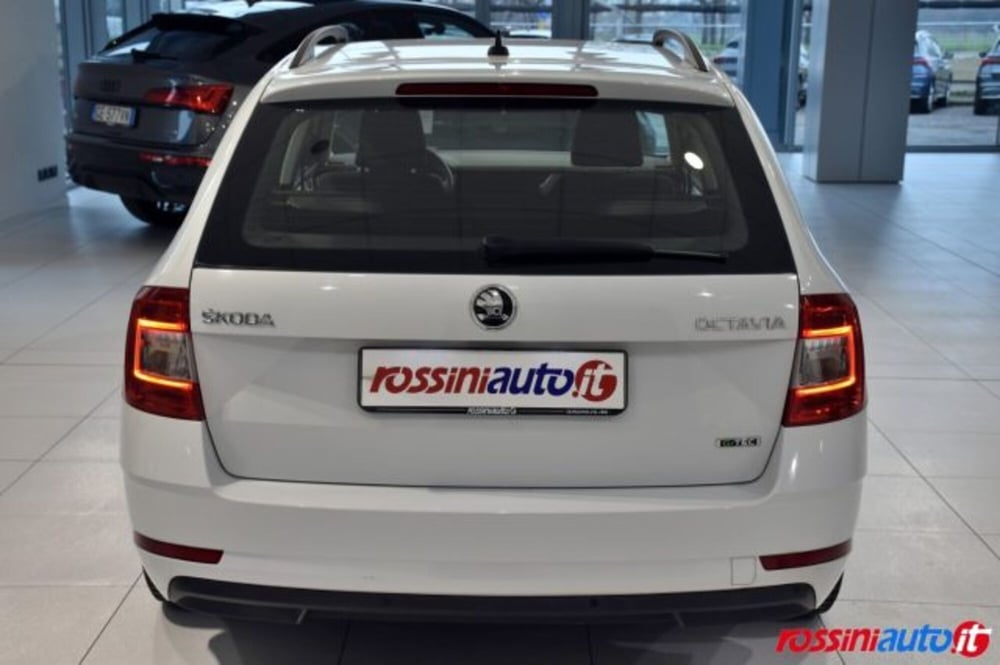 Skoda Octavia Station Wagon usata a Brescia (4)