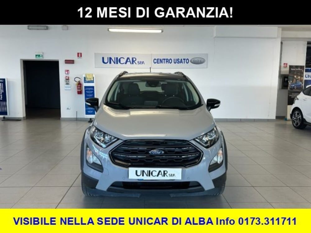 Ford EcoSport usata a Cuneo (2)