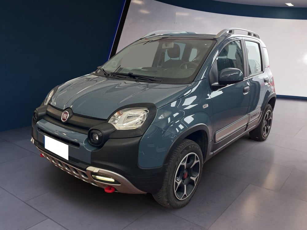 Fiat Panda usata a Torino (2)