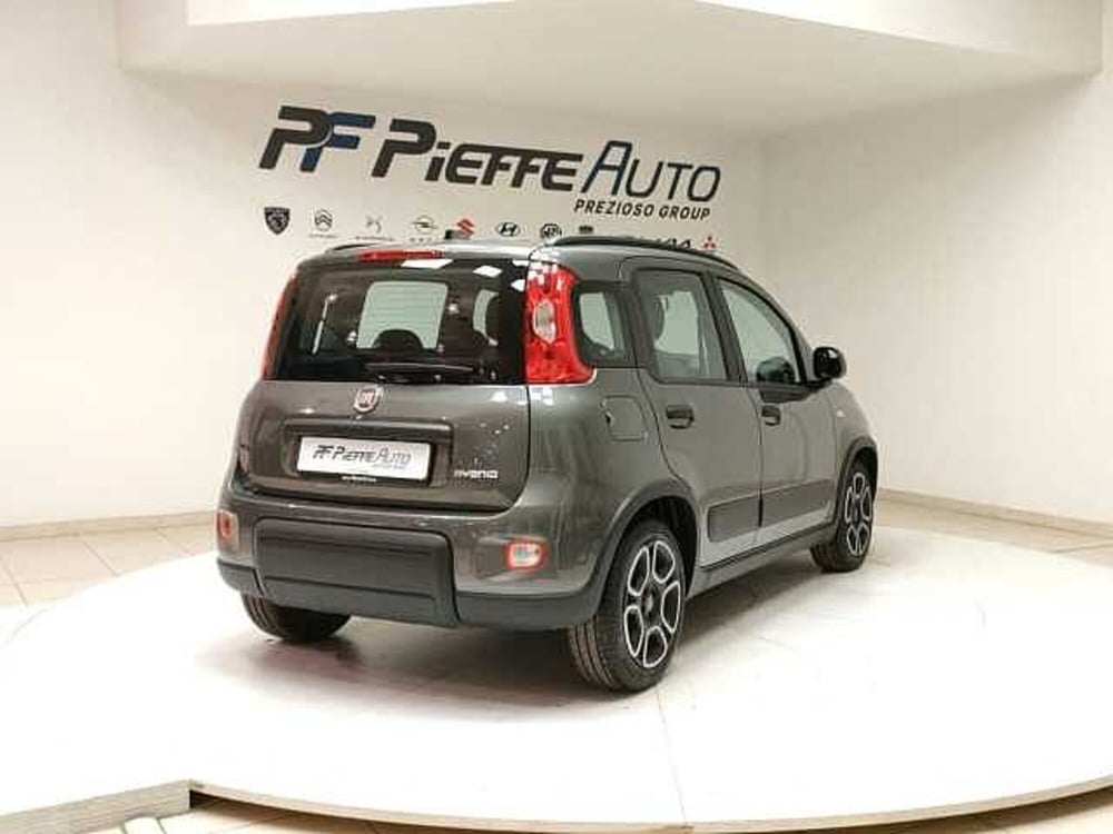 Fiat Panda usata a Teramo (4)