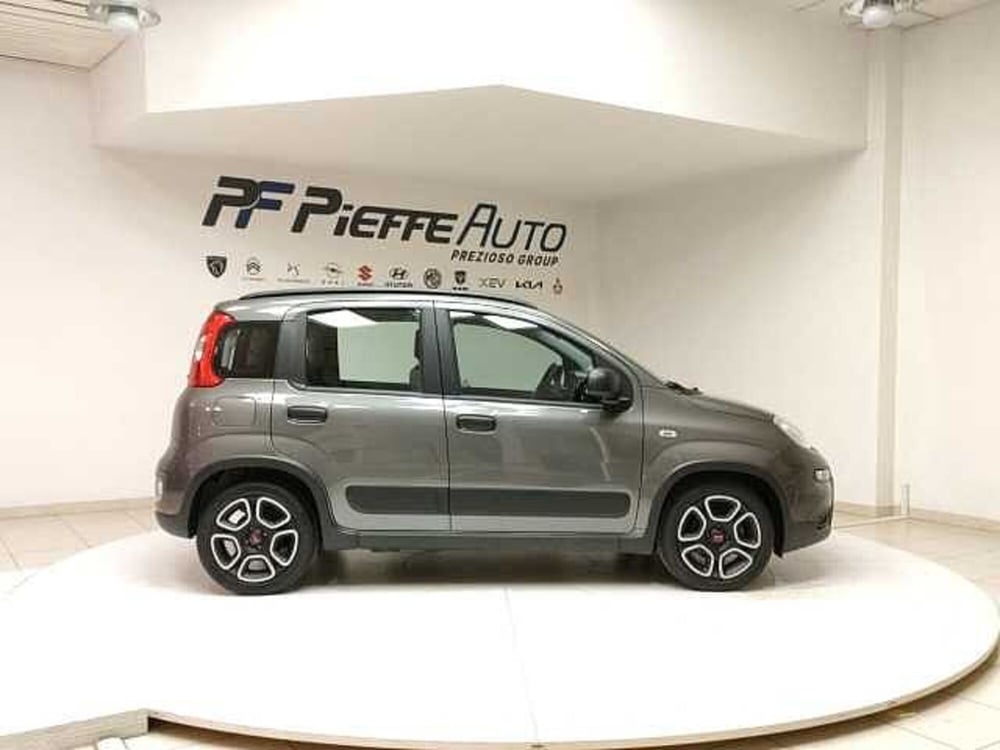 Fiat Panda usata a Teramo (5)