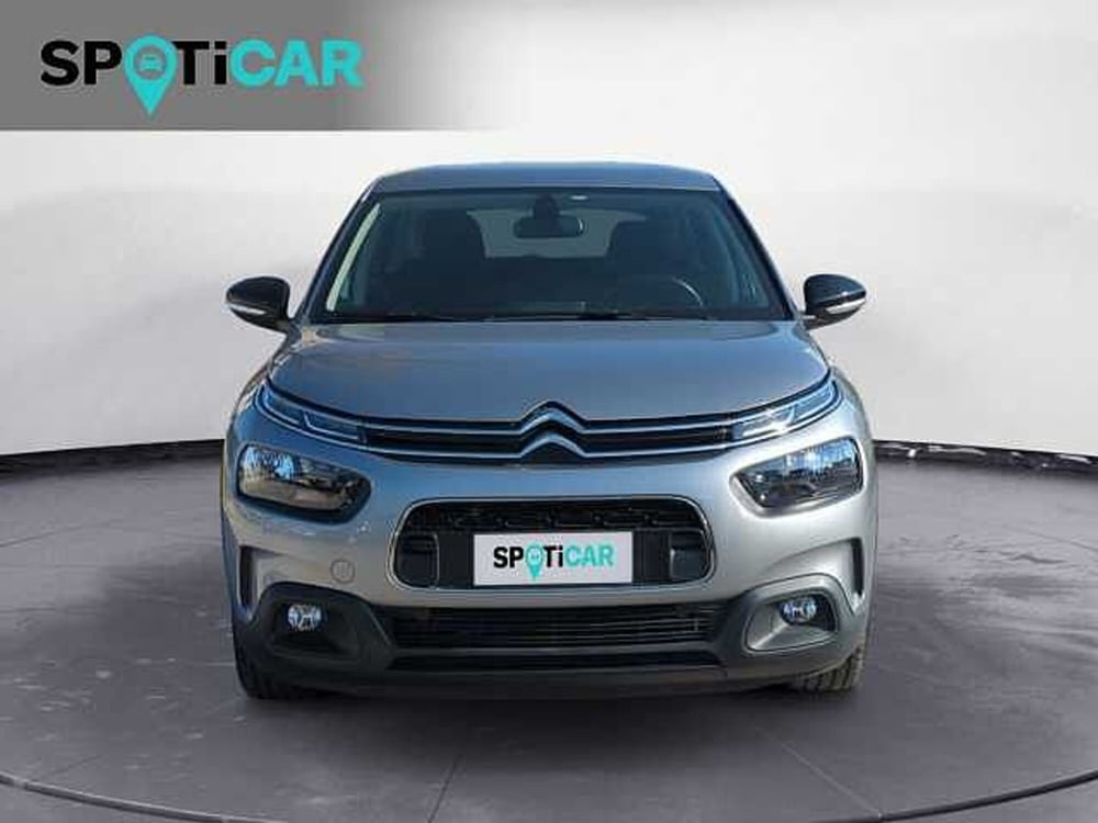 Citroen C4 Cactus usata a Treviso (2)