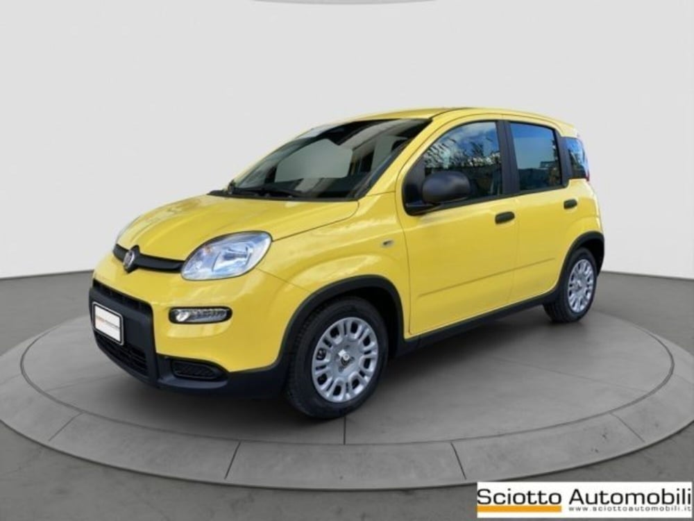 Fiat Panda nuova a Messina (2)