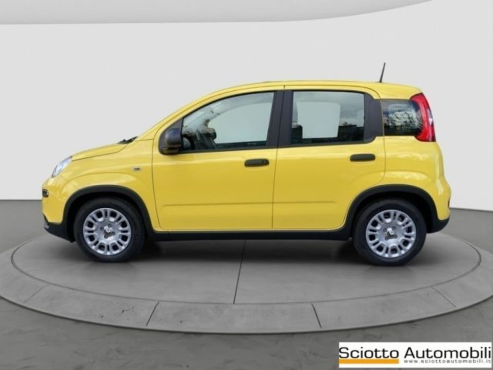 Fiat Panda nuova a Messina (3)