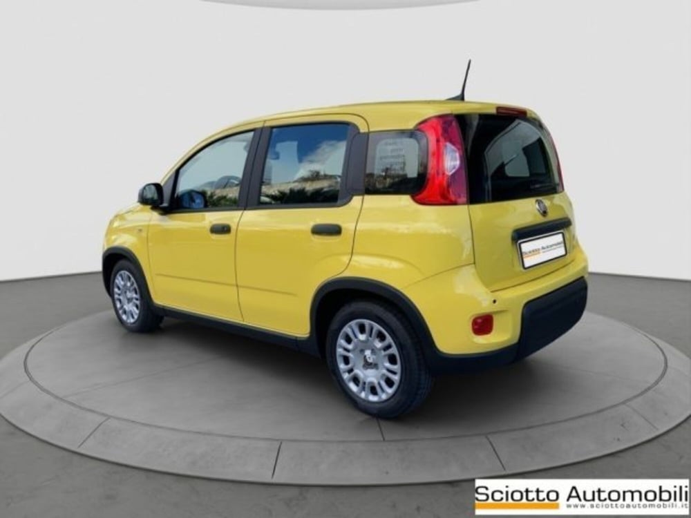 Fiat Panda nuova a Messina (4)