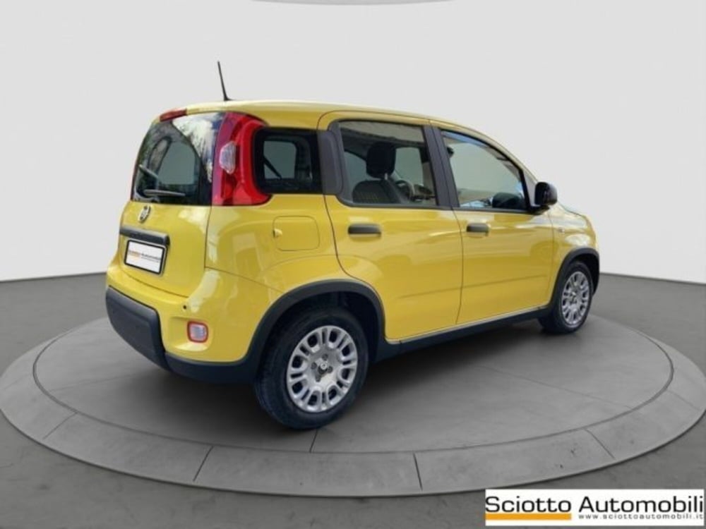 Fiat Panda nuova a Messina (6)