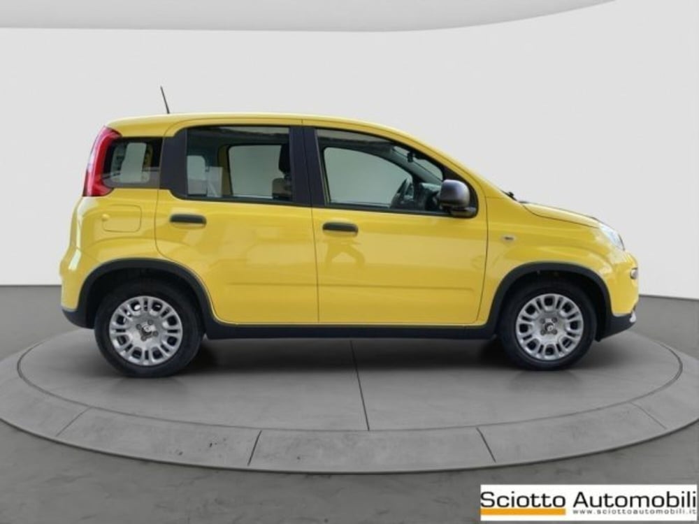 Fiat Panda nuova a Messina (7)