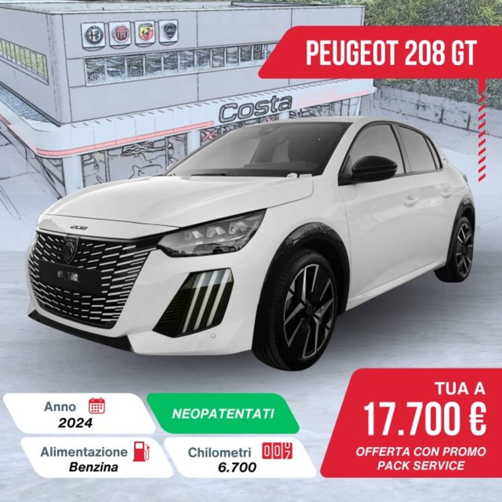 Peugeot 208 usata a Treviso