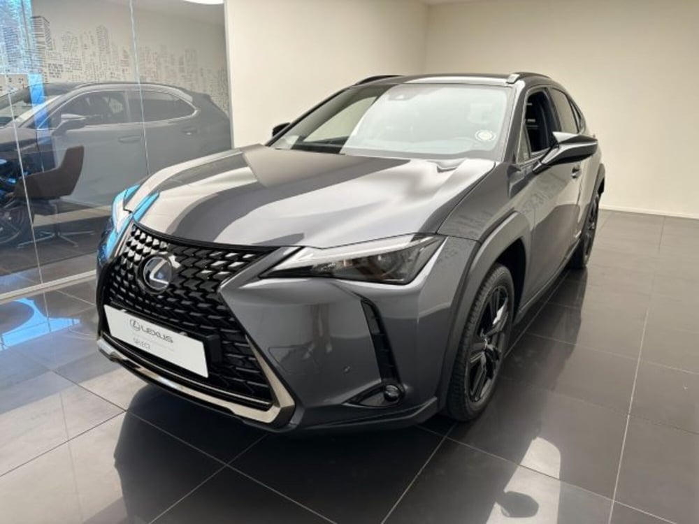 Lexus UX usata a Cuneo