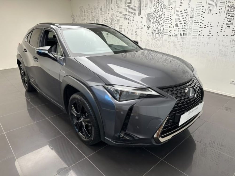 Lexus UX usata a Cuneo (2)