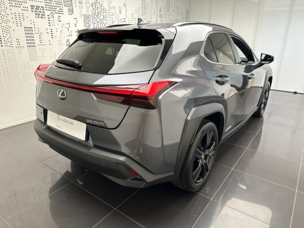 Lexus UX usata a Cuneo (3)