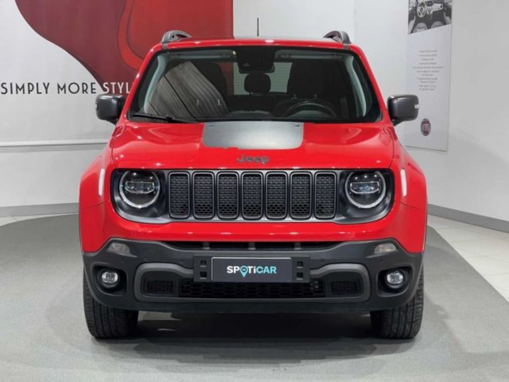 Jeep Renegade usata a Sondrio (8)