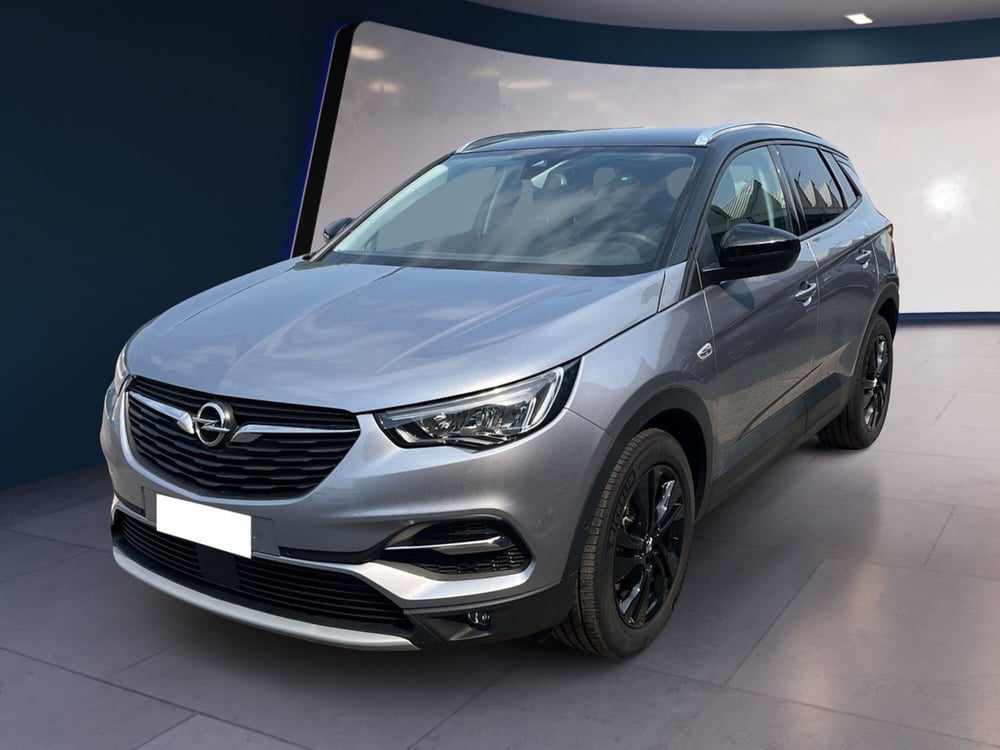 Opel Grandland X usata a Torino (2)