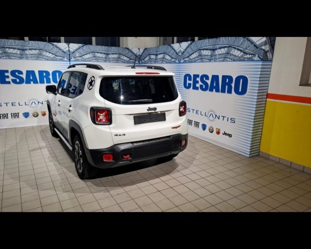 Jeep Renegade usata a Aosta (3)