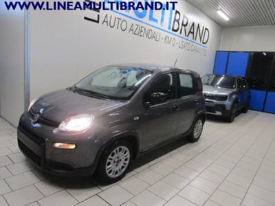 Fiat Panda 1.0 firefly hybrid s&amp;s 70cv 5p.ti del 2023 usata a Piacenza