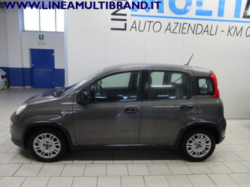 Fiat Panda usata a Piacenza (2)