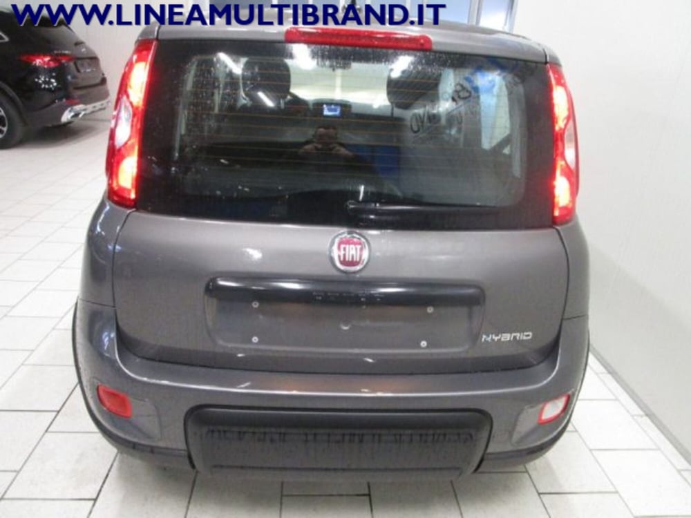 Fiat Panda usata a Piacenza (3)