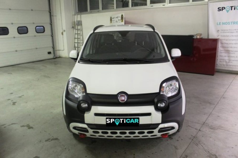 Fiat Panda Cross usata a Terni (2)