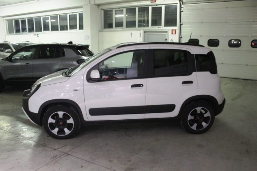 Fiat Panda Cross usata a Terni (3)