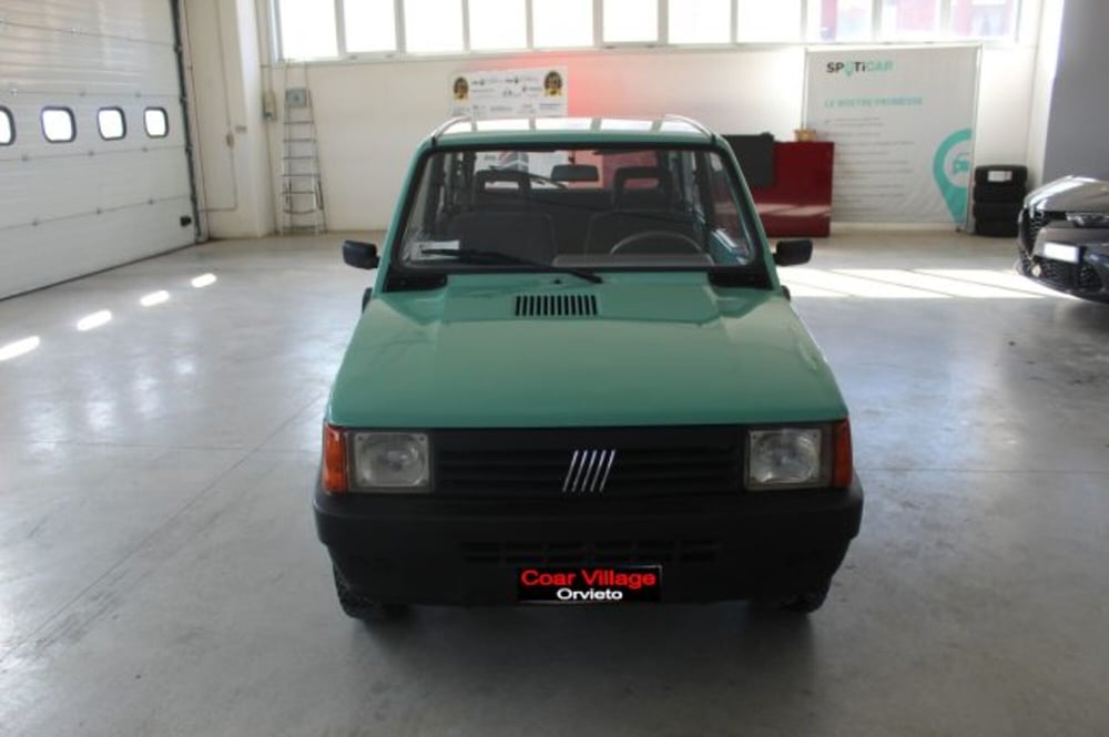 Fiat Panda usata a Terni (2)