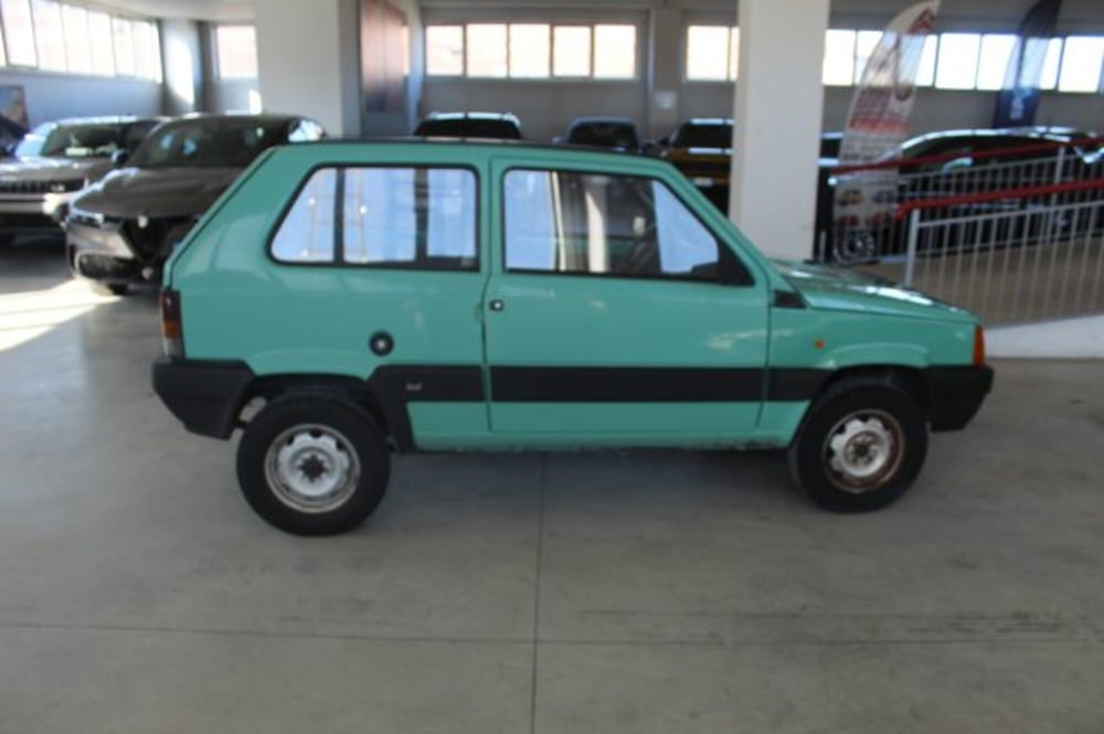 Fiat Panda usata a Terni (6)