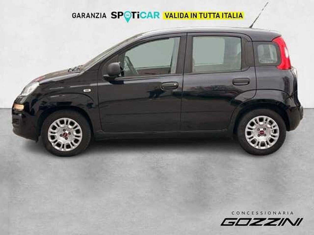 Fiat Panda usata a Brescia (8)