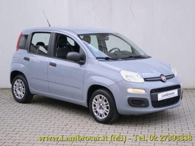 Fiat Panda 1.2 Easy  del 2018 usata a Cologno Monzese