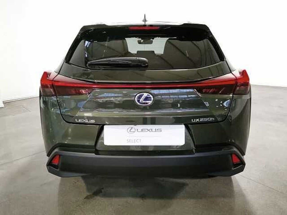 Lexus UX usata a Chieti (7)