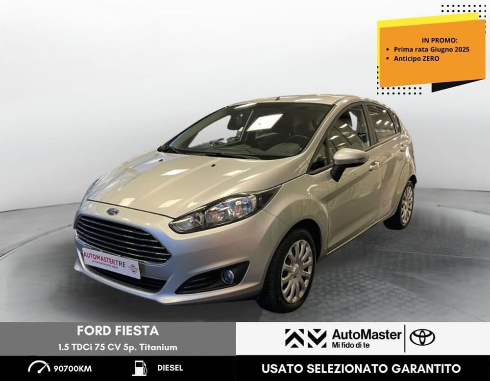 Ford Fiesta usata a Rovigo