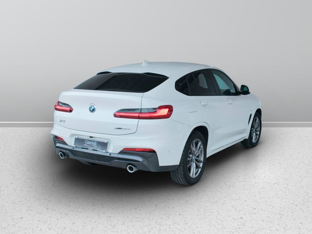 BMW X4 usata a Ascoli Piceno (6)