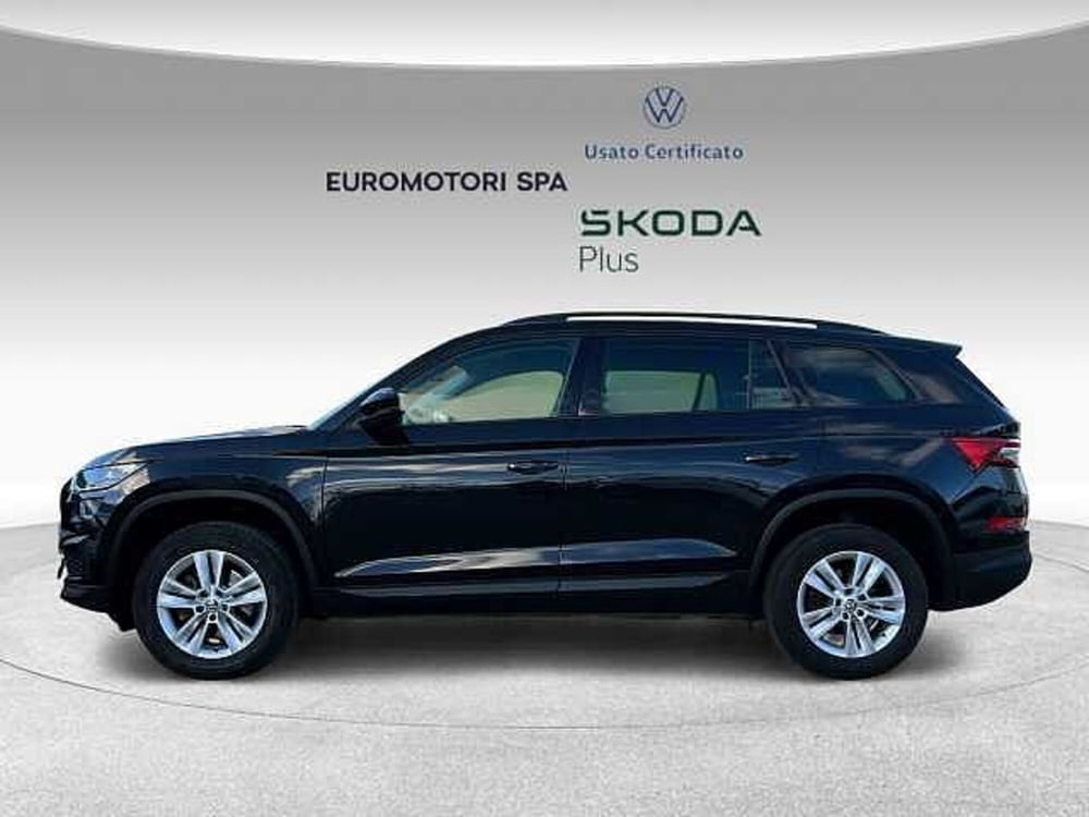 Skoda Kodiaq usata a Grosseto (2)