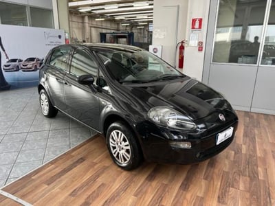 Fiat Punto 1.4 8V 5 porte Natural Power Easy  del 2014 usata a Vignola