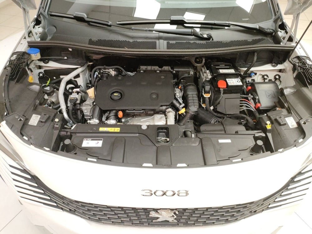 Peugeot 3008 usata a Teramo (10)