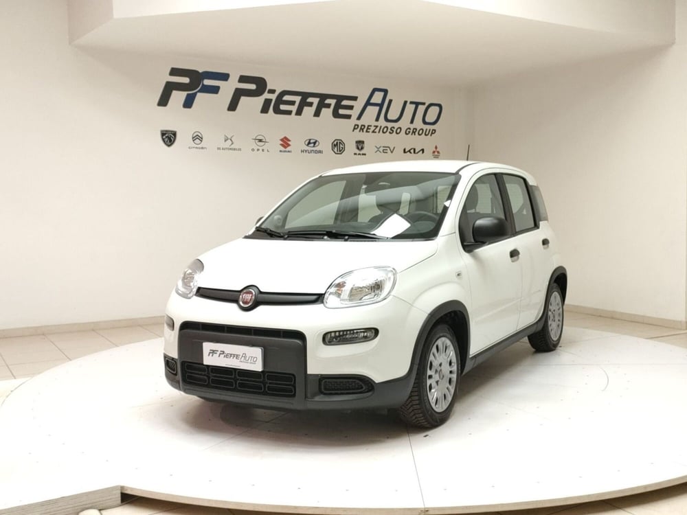 Fiat Panda Cross usata a Teramo