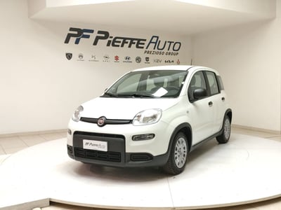 Fiat Panda Cross Cross 1.0 FireFly S&amp;S Hybrid  del 2023 usata a Teramo