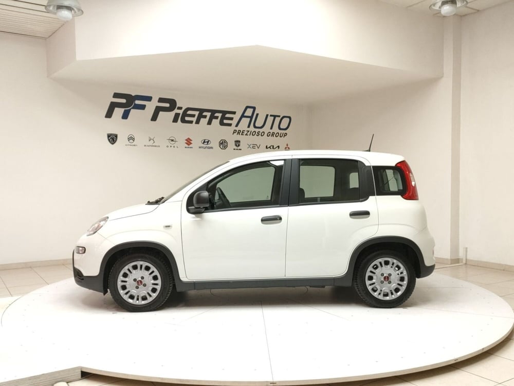 Fiat Panda Cross usata a Teramo (2)