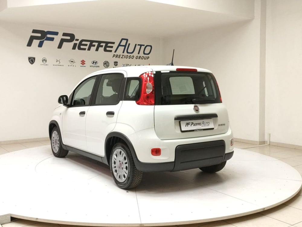 Fiat Panda Cross usata a Teramo (3)