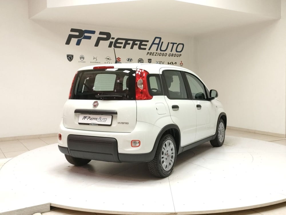 Fiat Panda Cross usata a Teramo (4)