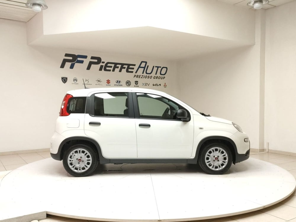 Fiat Panda Cross usata a Teramo (5)