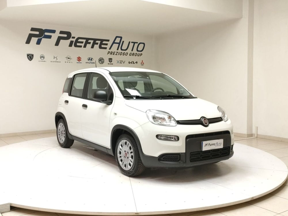 Fiat Panda Cross usata a Teramo (6)