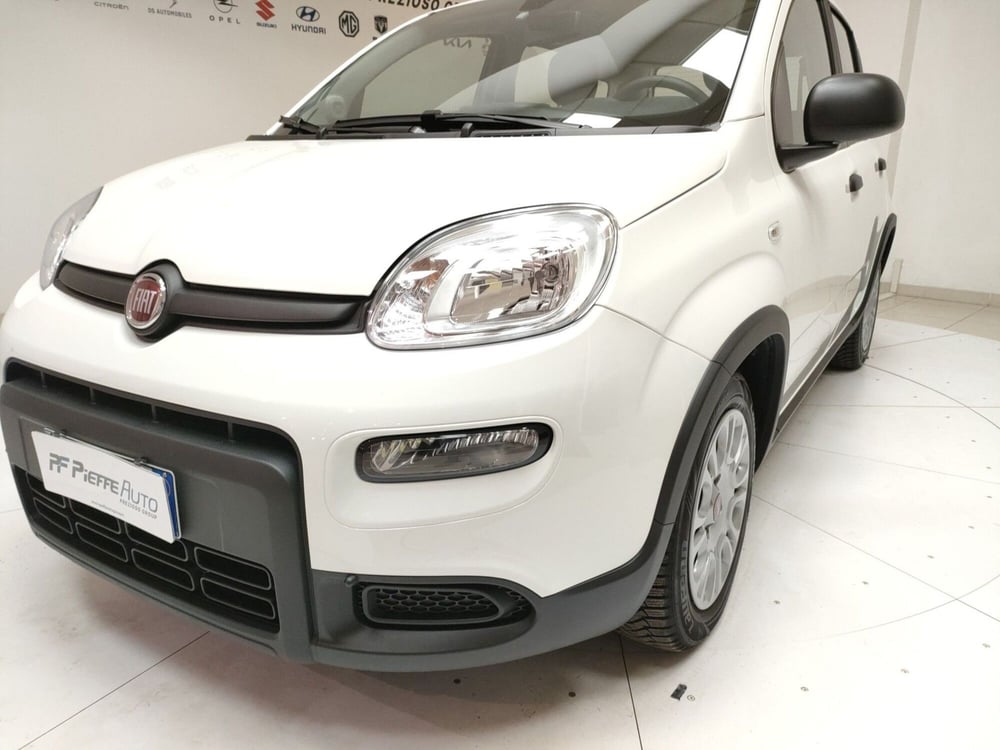 Fiat Panda Cross usata a Teramo (8)