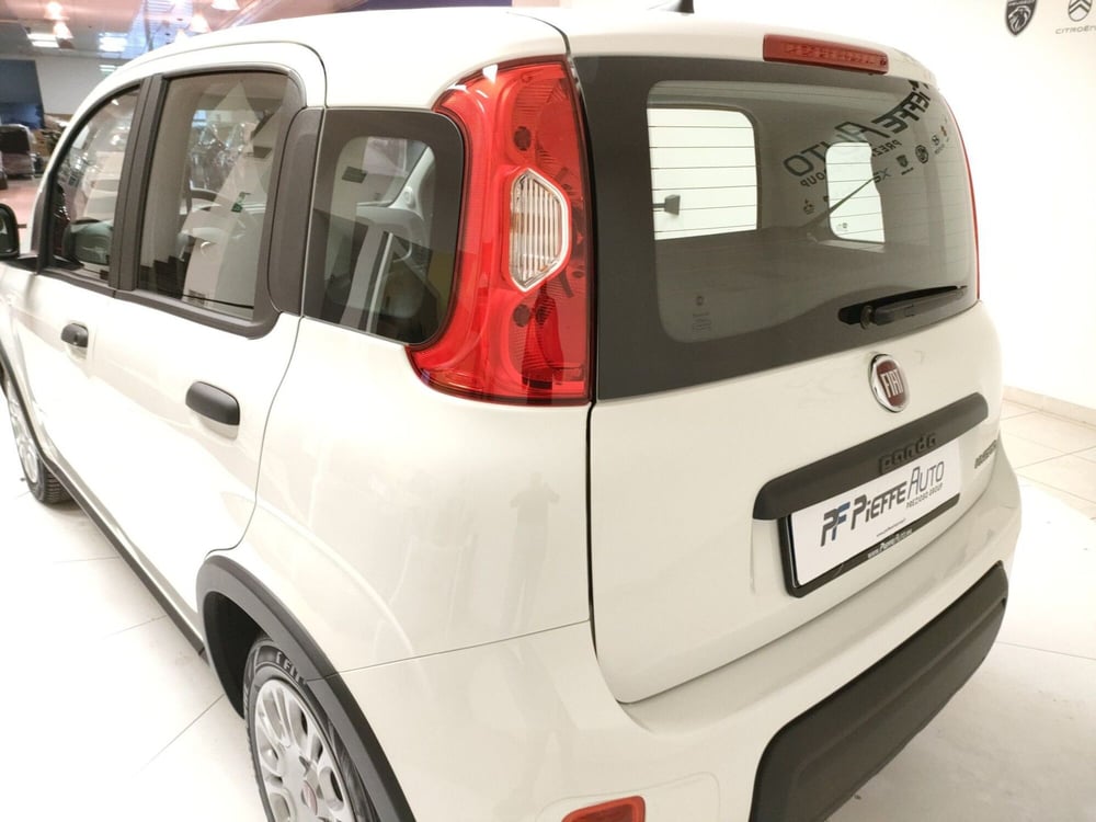 Fiat Panda Cross usata a Teramo (9)