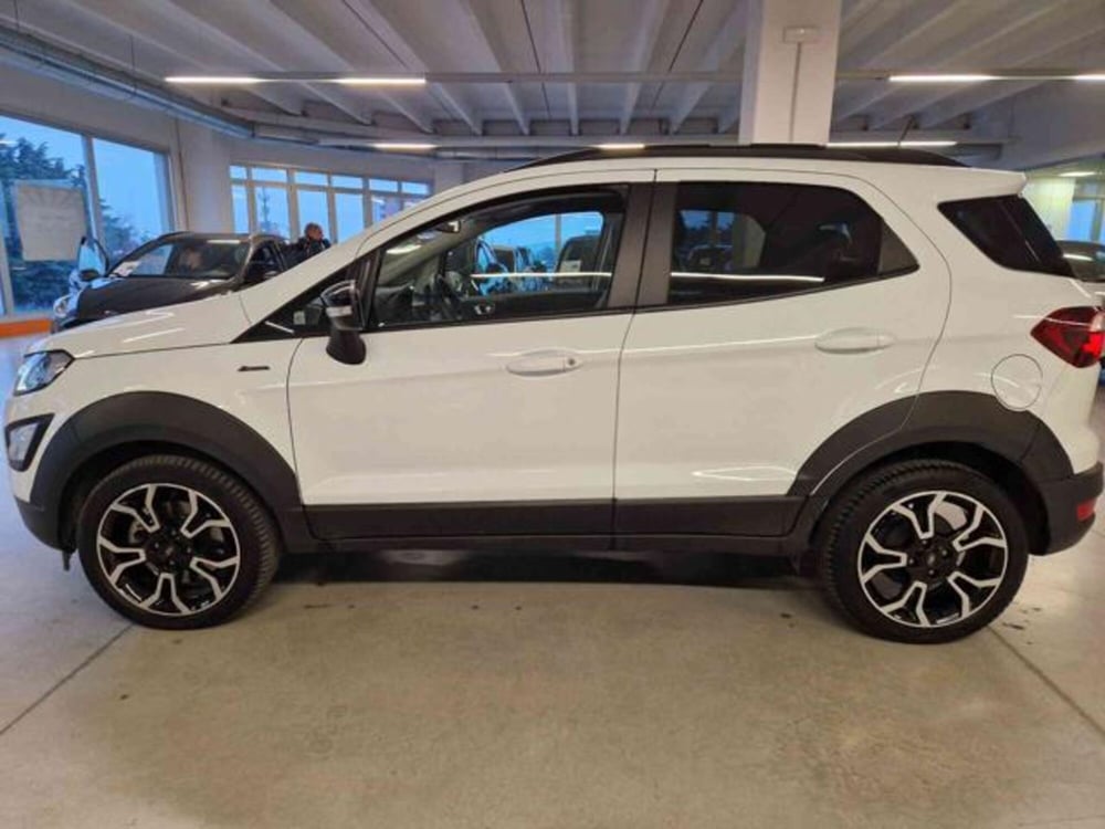 Ford EcoSport usata a Bologna (7)