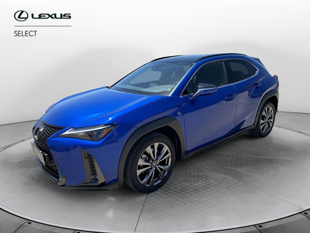 Lexus UX usata a Catania