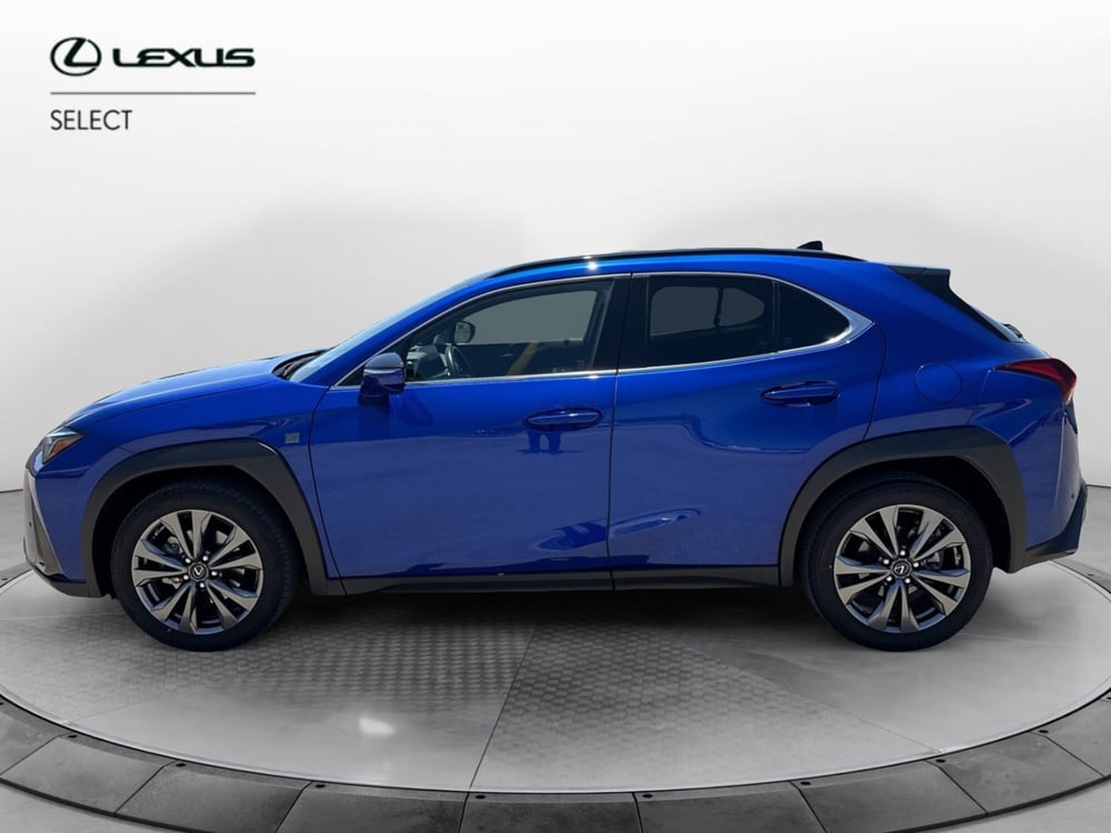 Lexus UX usata a Catania (2)